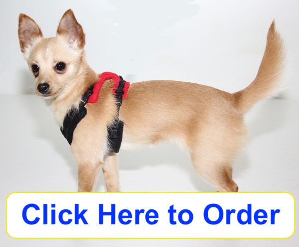 Perfect Fit Harness (Complete) - Tiny - Manners n More